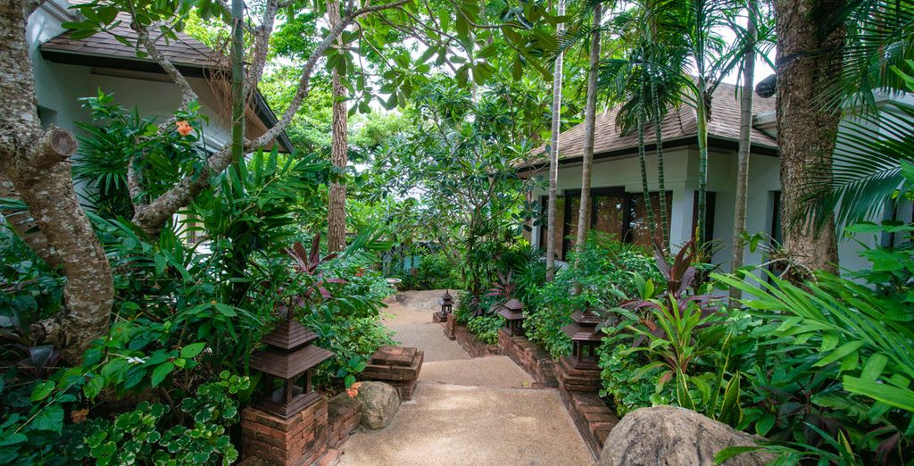 The Duchess Hotel and Residences Bangkok 4* + Renaissance Koh Samui Resort & Spa 5*