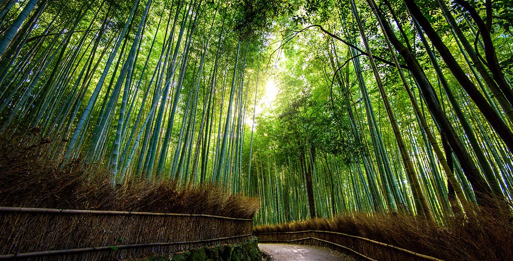 Combinato Tokyo + Kyoto in libertà