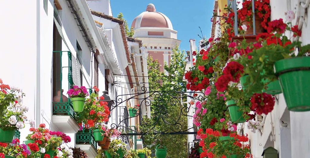 Hotel Fuerte Estepona 4*