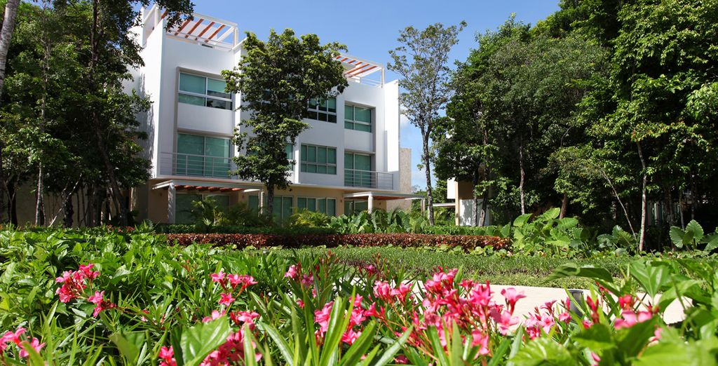 Minitour Yucatan & Luxury Bahia Principe Sian Ka'an Don Pablo Collection 5*