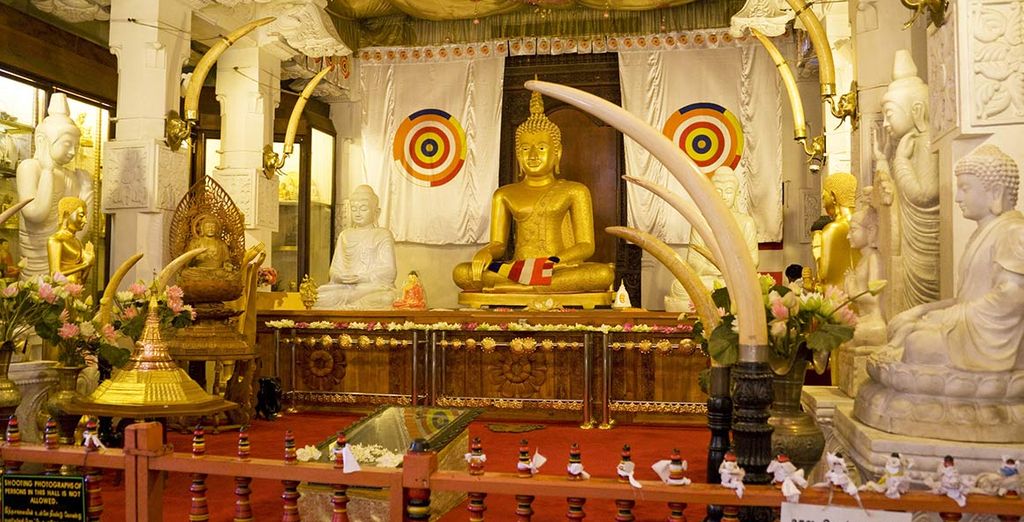 Autentica Sri Lanka in 4*