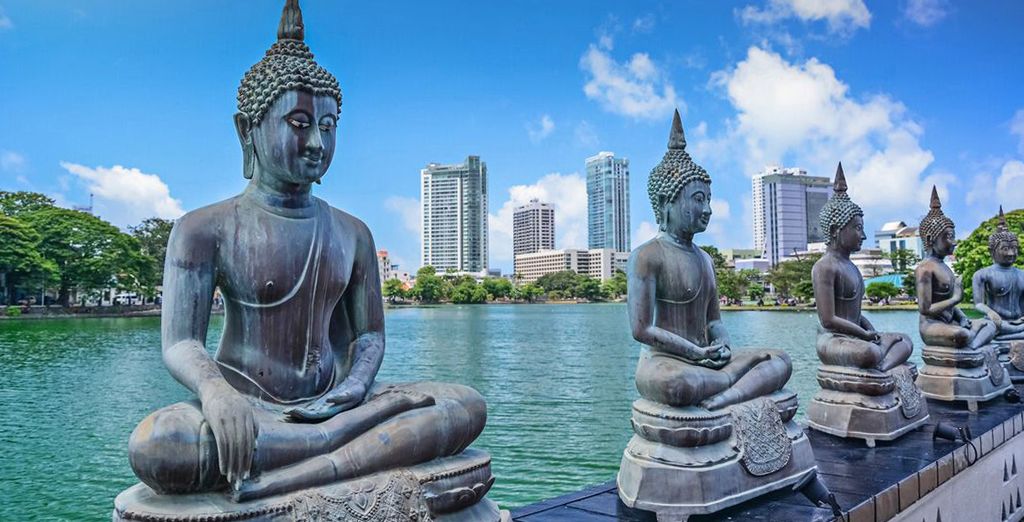 Tour completo dello Sri Lanka con mini safari - 7 notti in Hotel 4 e 5*