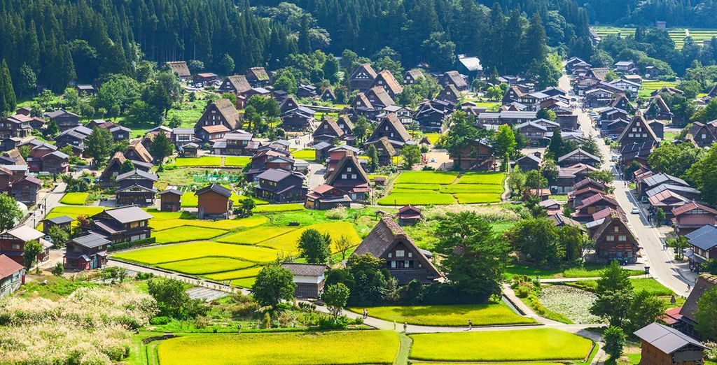 Cultura antica e fascino moderno in tour del Giappone
