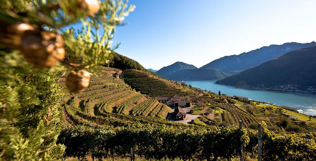 Relais Castello di Morcote - Adults Only
