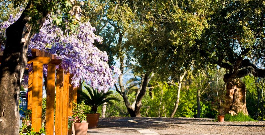 Il Querceto 4*