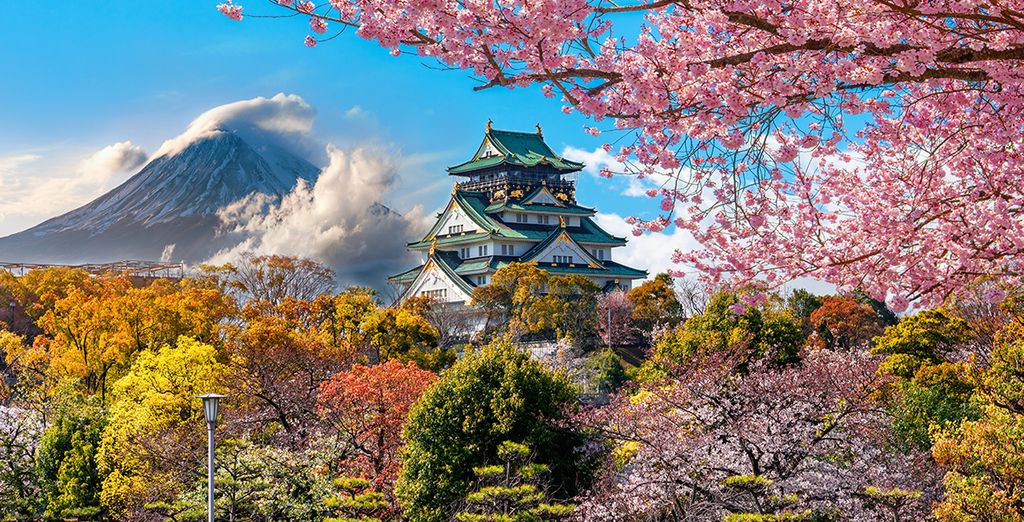 Tour gli splendori del Giappone da Kyoto