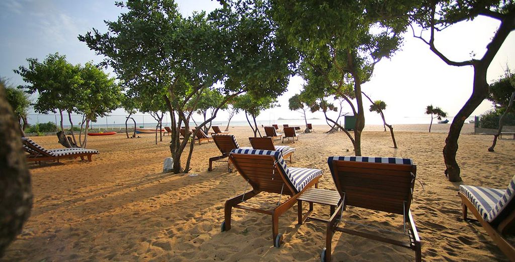 Anilana Nilaveli Beach Resort 5* + The Kingsbury 5* 