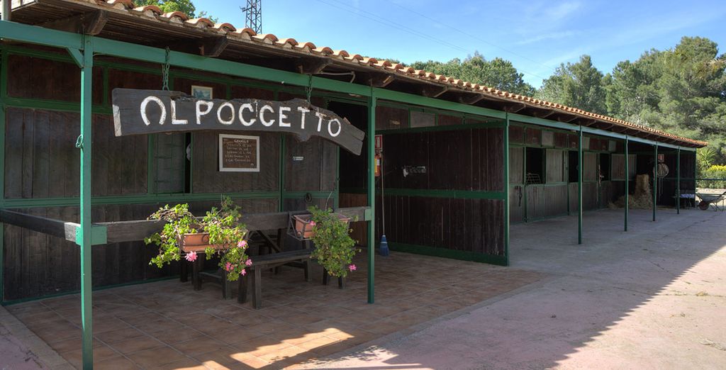 Agriturismo Al Poggetto