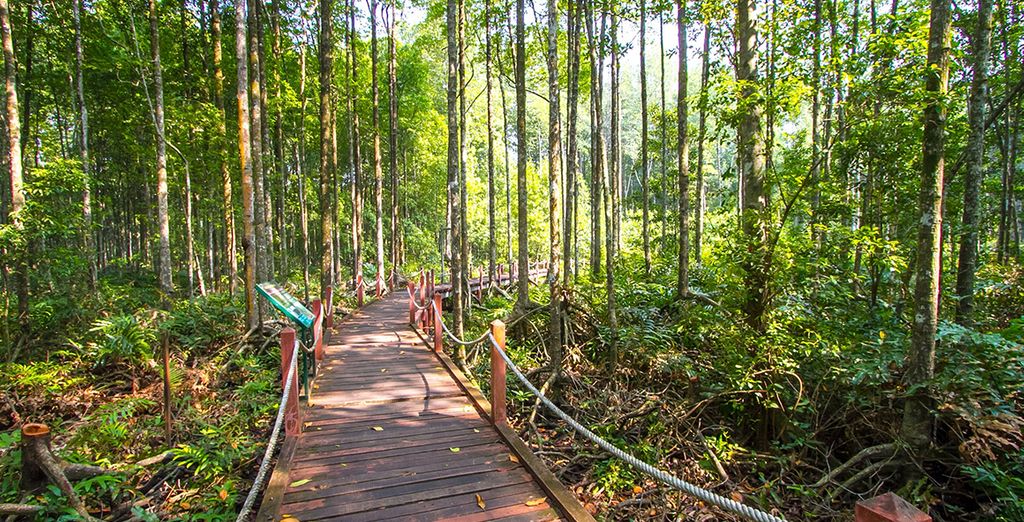 Tour privato della Malesia e soggiorno mare a Langawi