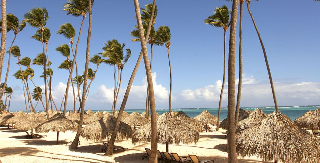 Paradisus Palma Real 5* - Adult only