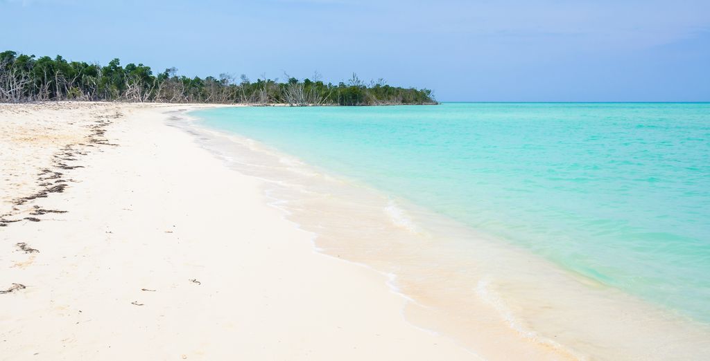 Tour di Cuba a 360°, mare, storia e natura 