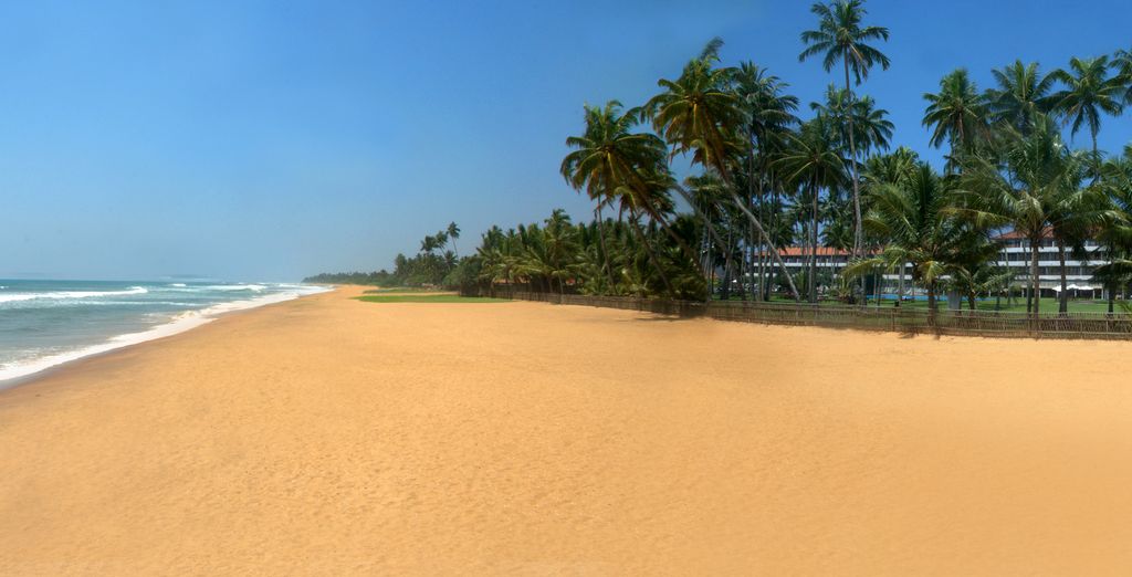Tour privato Sri Lanka in 5* o 5* lusso  con possibile soggiorno al Park Rotana 5* Abu Dhabi