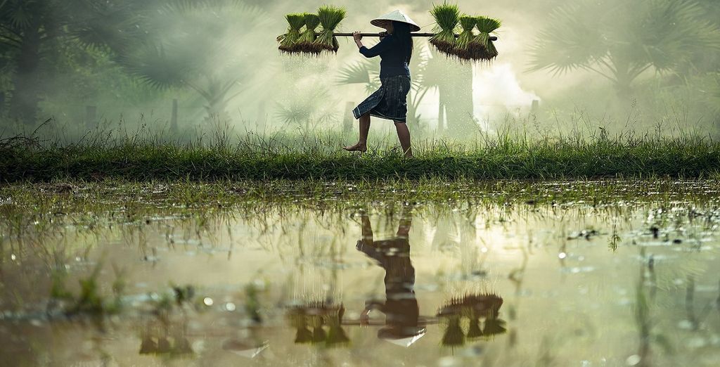 Vietnam e i colori d'Oriente