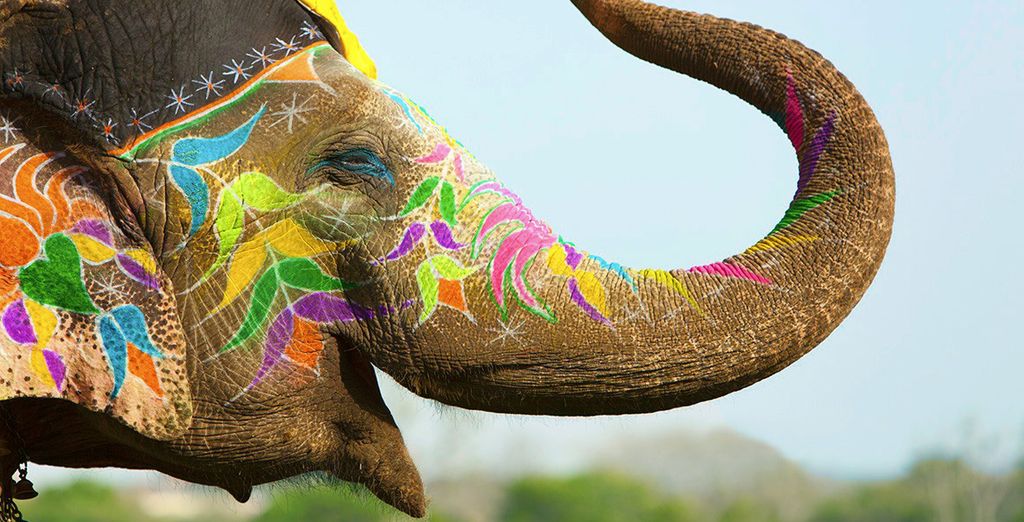 Tour privato di 9, 11 o 13 notti attraverso il Rajasthan