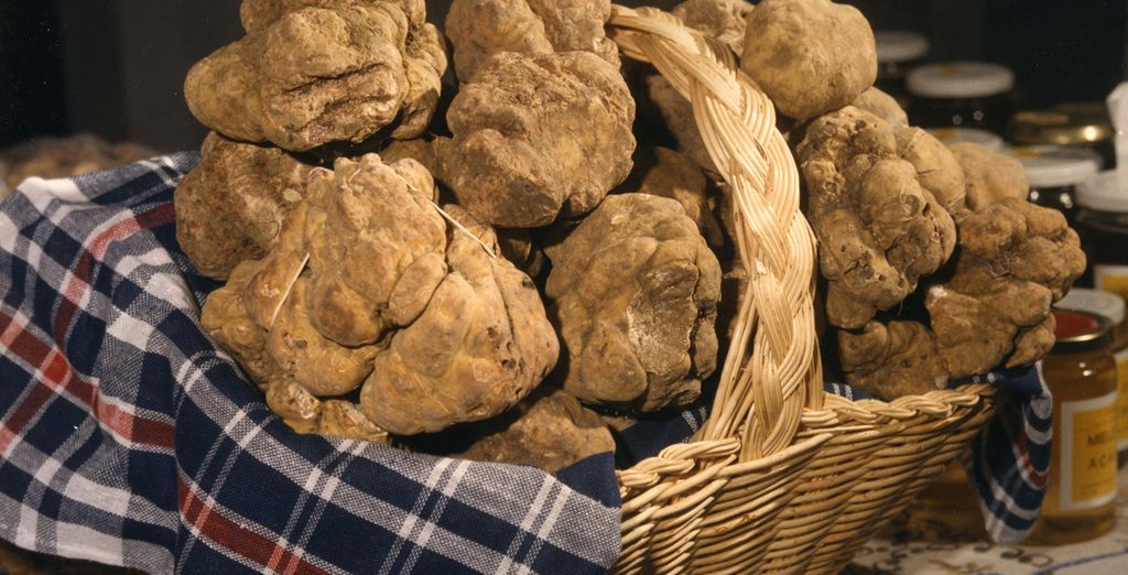 Trekking & Tartufo alla Gola del Furlo