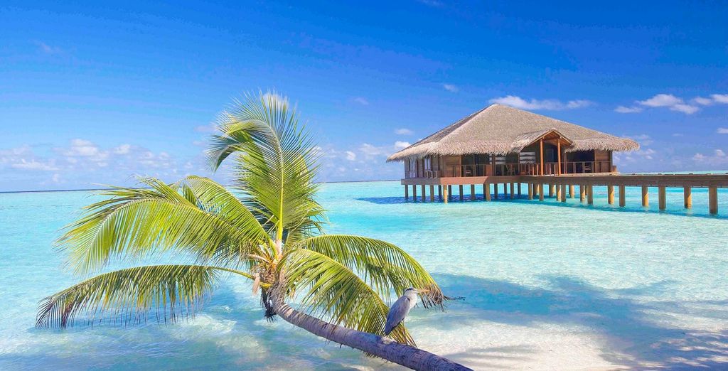 Tour del Triangolo d'Oro con possibile soggiorno alle Maldive