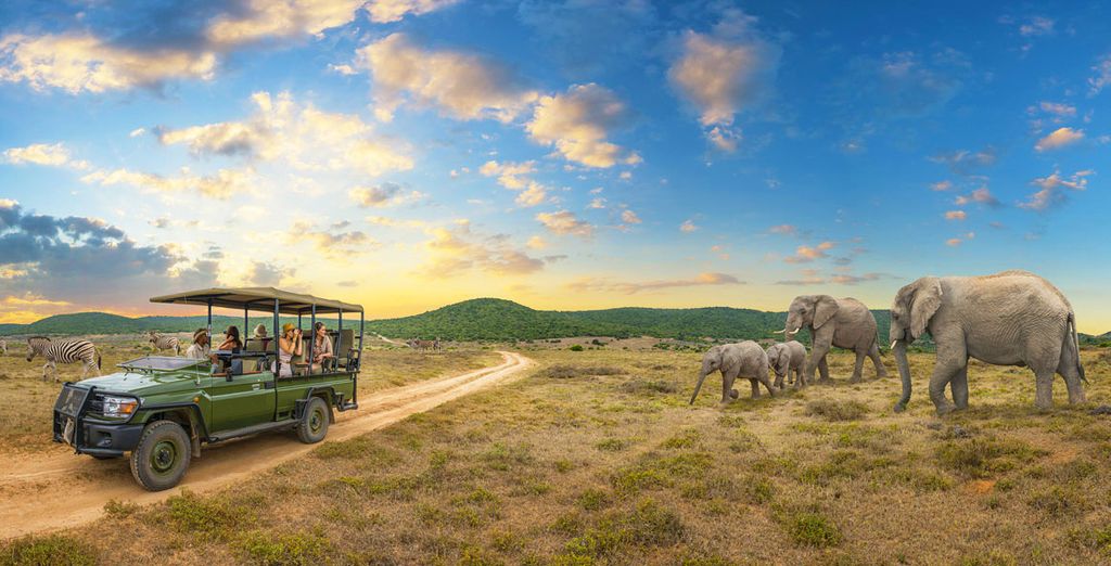 Tour del Sud Africa: da Cape Town a Port Elisabeth
