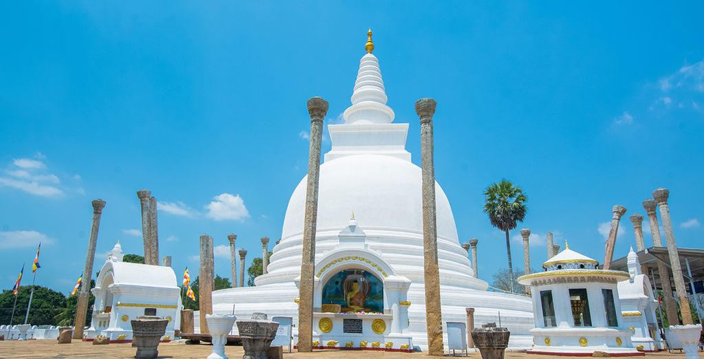 Tour dello Sri Lanka in 8 o 10 notti