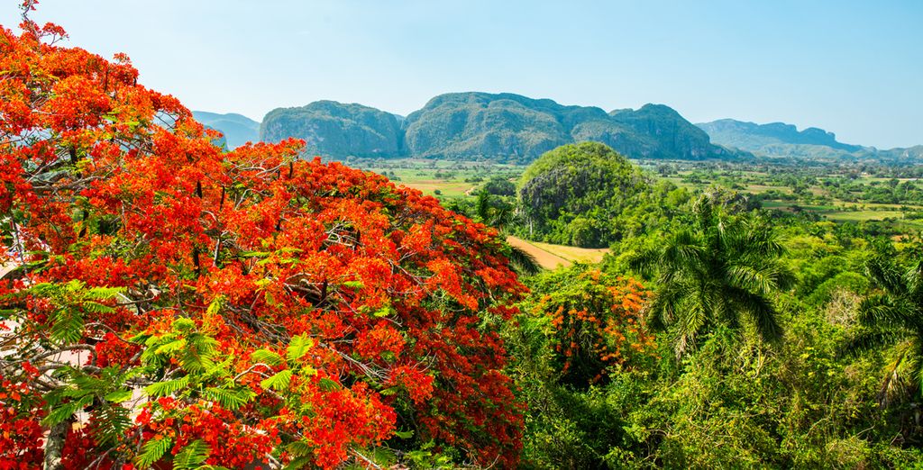 Tour L'Avana, Trinidad e mare in 5* All Inclusive