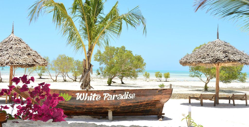 Simba Safari + estensione mare a Zanzibar