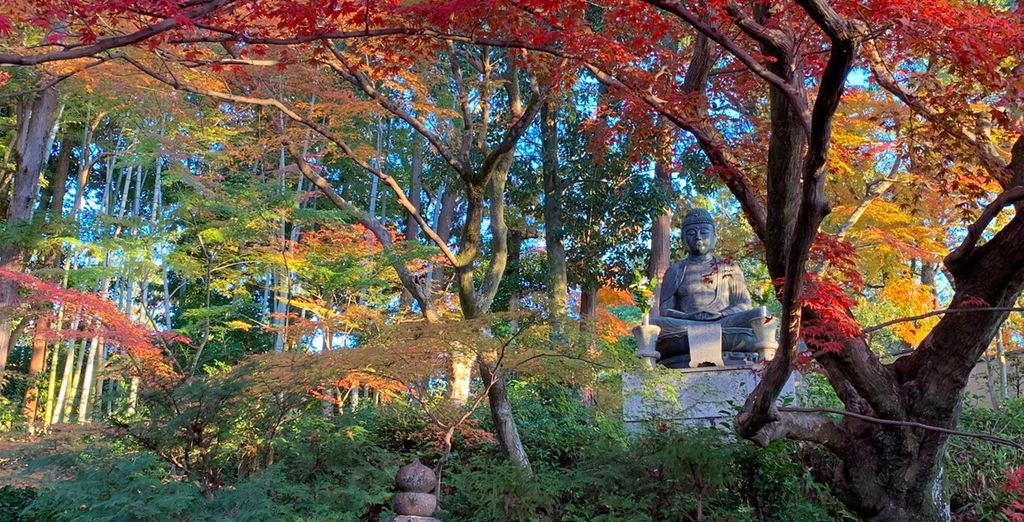 Foreste e templi giapponesi