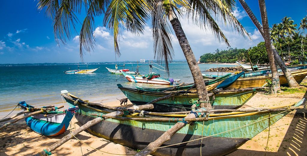 Tour dello Sri Lanka e soggiorno mare a Weligama