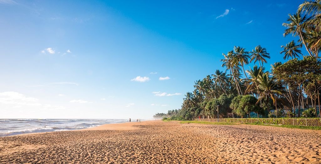 Tour dello Sri Lanka tra parchi naturali e città
