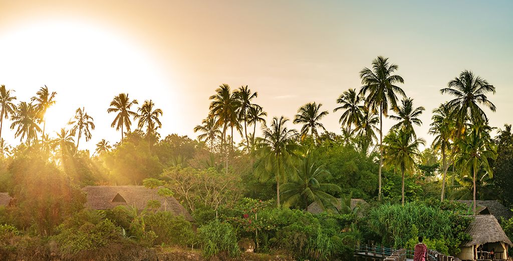 Ras Michamvi Beach Resort