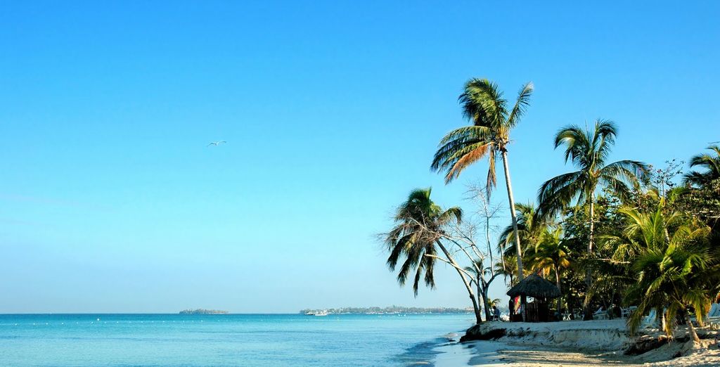Royal Decameron Montego Beach 4* - Adult Only