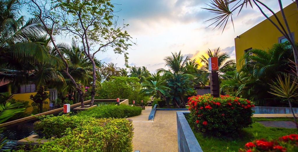 New Star Beach Resort 4* Koh Samui + Buri Rasa Village 4*
