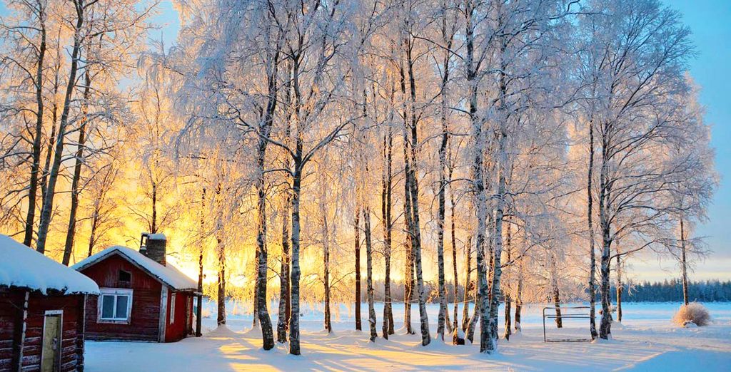 Avventura polare in Svezia, Finlandia e Norvegia