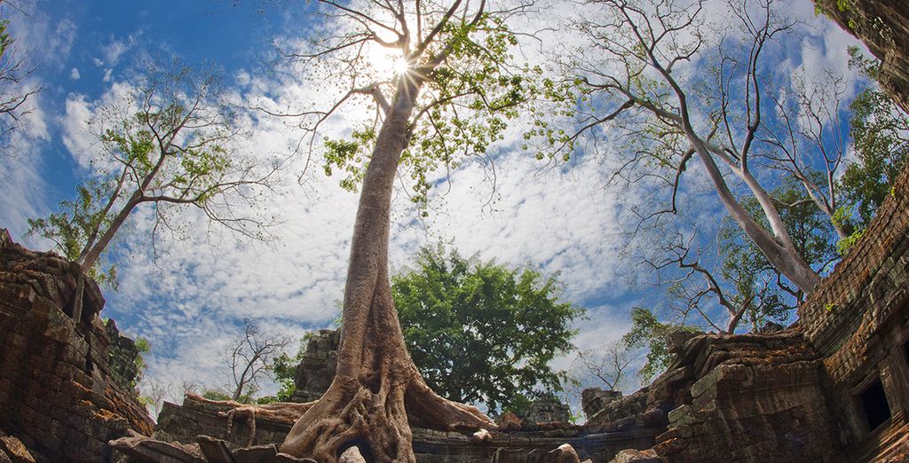 Vietnam, Cambogia Angkor Wat e soggiorno mare a Phan Thiet