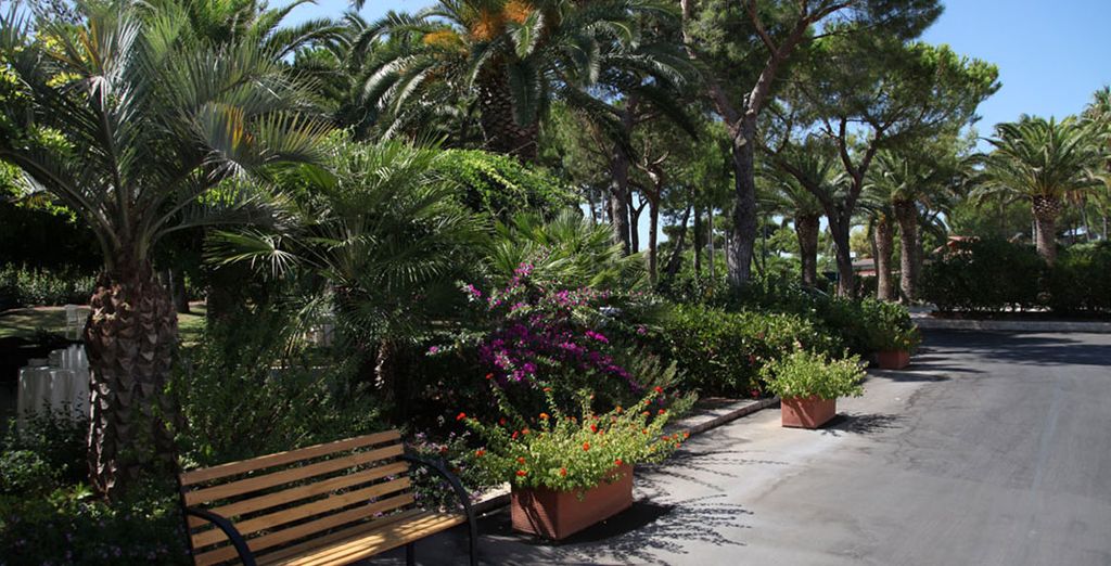Hotel Riva del Sole 4*