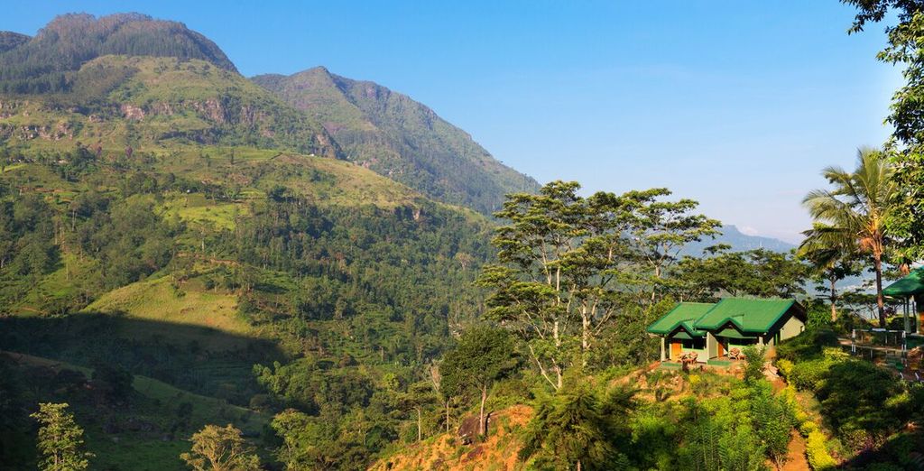 Tour privato alla scoperta delle meraviglie naturali dello Sri Lanka