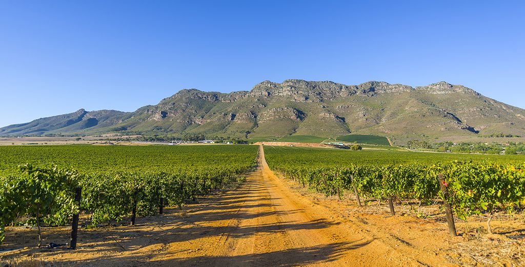 Tour del Sud Africa: da Cape Town a Port Elisabeth