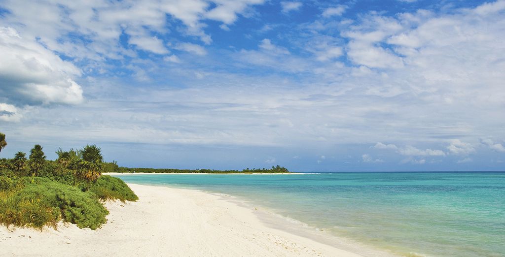 Minituour Yucatan & Mare