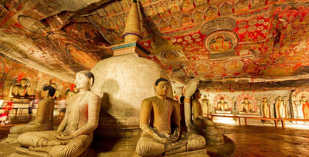 Tour Sri Lanka + Safari