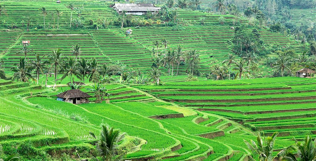 Tour dell'Australia e estensione mare a Bali
