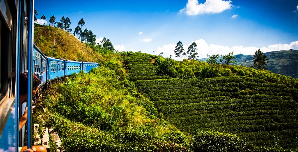 Lo Sri Lanka tra cultura, natura e avventura