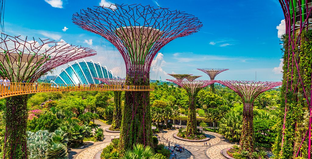 Le meraviglie dell'Indonesia con possibile soggiorno a Singapore
