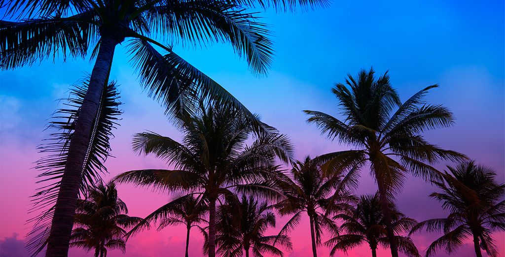 Grand Beach Miami 4* + mini crociera in Messico