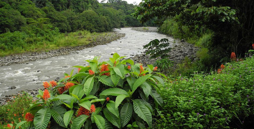 Autotour della Costa Rica