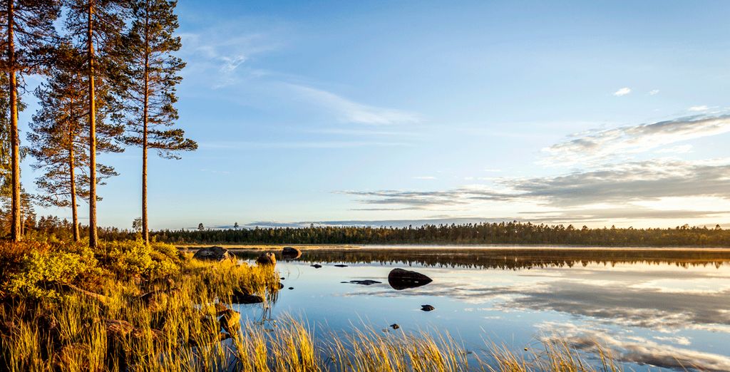 Stoccolma e Ockelbo immersi nella natura della Svezia