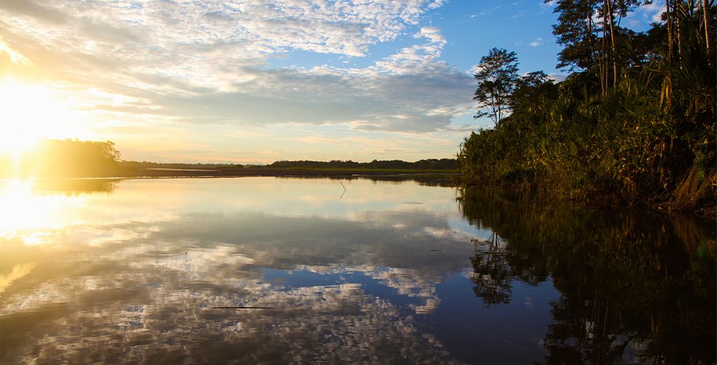 Crociera dell'Amazzonia ecuadoriana con estensione a Quito e Cotopaxi