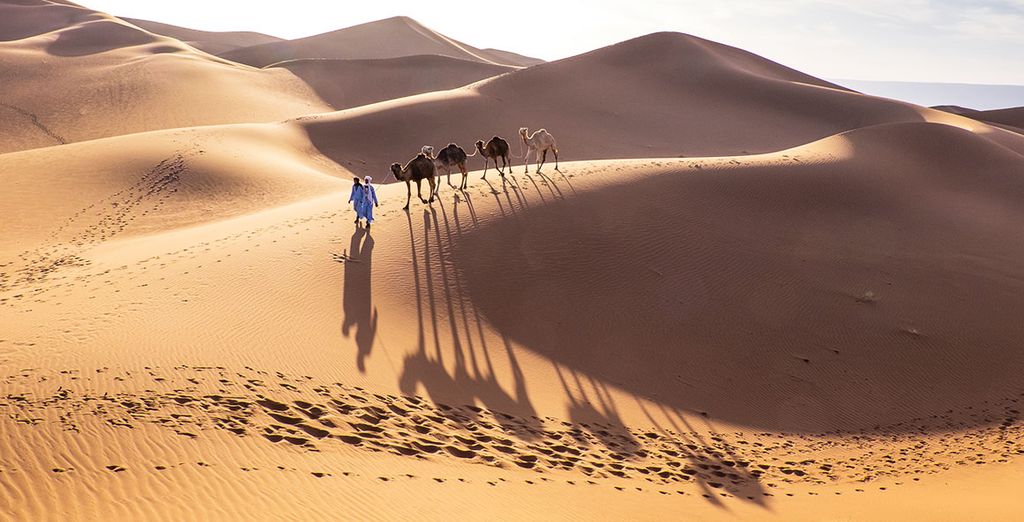 Tour tra Kasbah e Oasi 