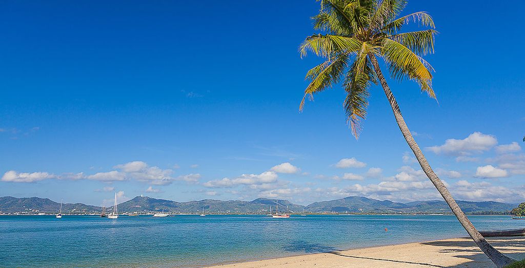LiT Bangkok Hotel 5* +  My Beach Resort Phuket
