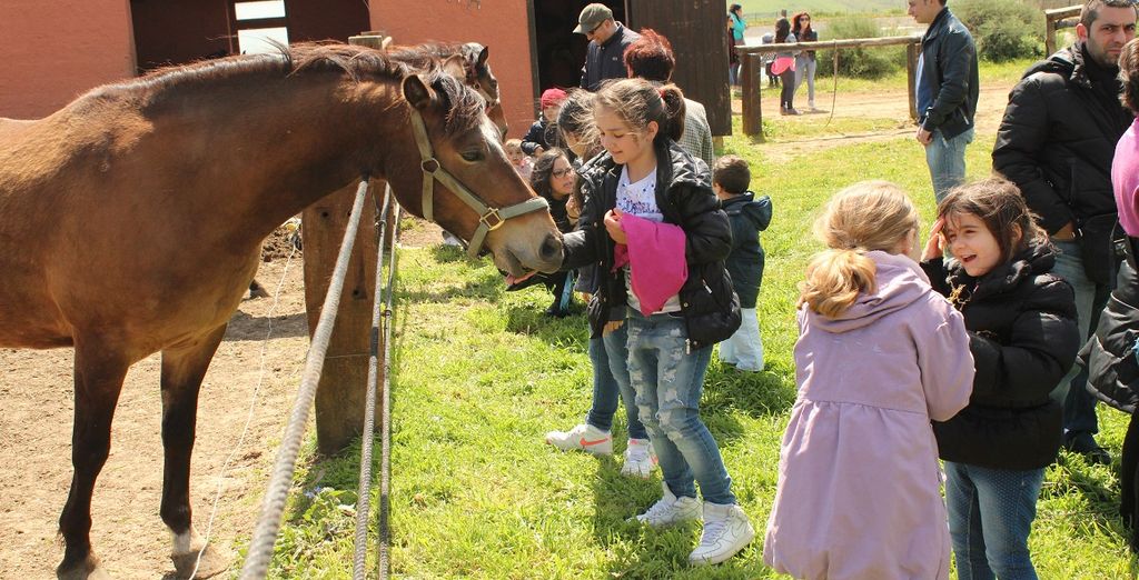 Agriturismo Colle San Mauro