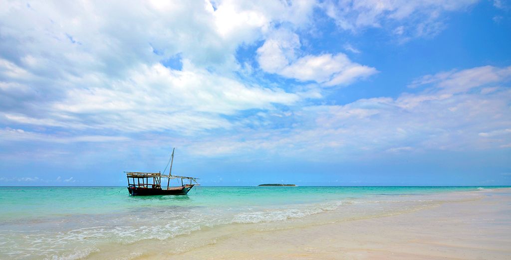 Simba Safari + estensione mare a Zanzibar