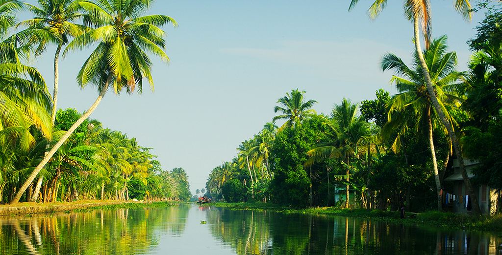 Tour privato del Kerala e soggiorno benessere Ayurvedico