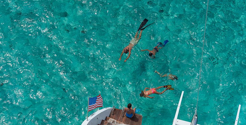 Crociera: 2 itinerari nelle Isole Vergini Britanniche e Tobago
